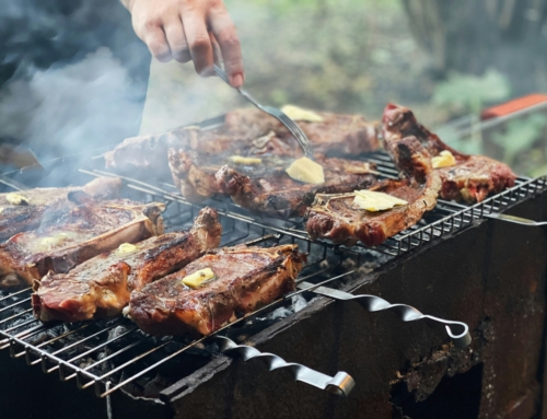 Essential Cooking Guide: Mastering Carnivore Diet Preparation